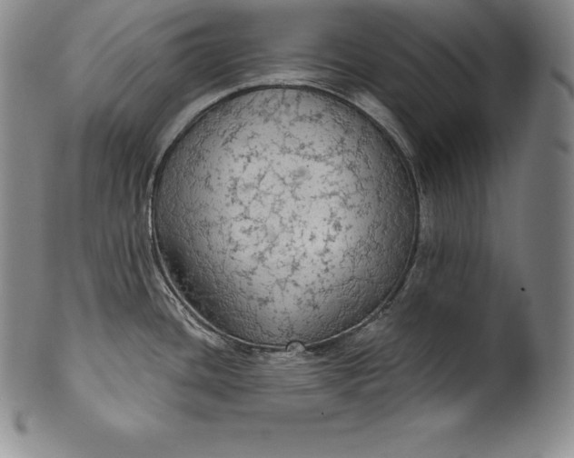 X0000102241436200808081426