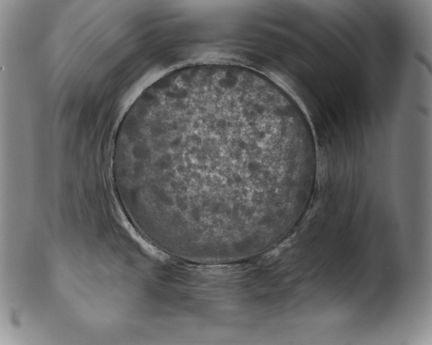 X0000102241437200808081426