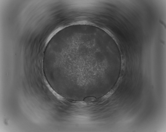 X0000102241438200808081426