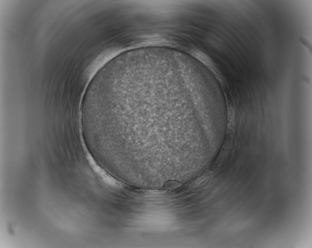 X0000102241439200808081426