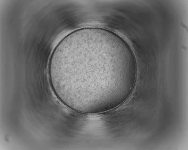 X0000102241440200808081426