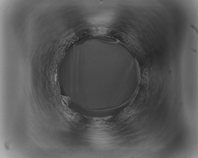 X0000102241441200808081425