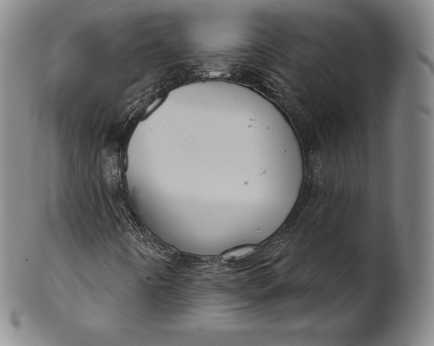 X0000102241442200808081425