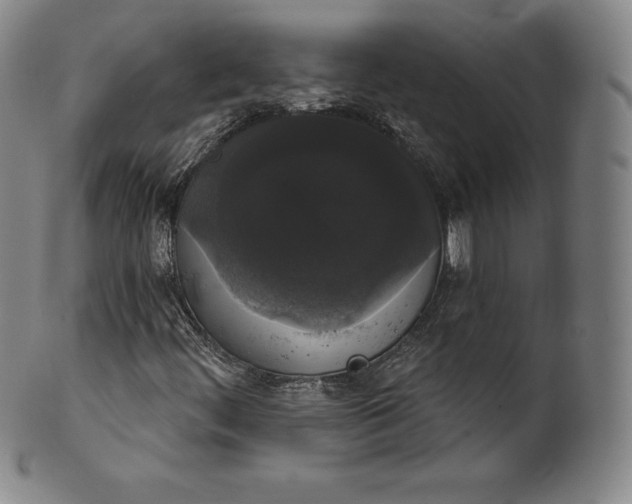 X0000102241444200808081425