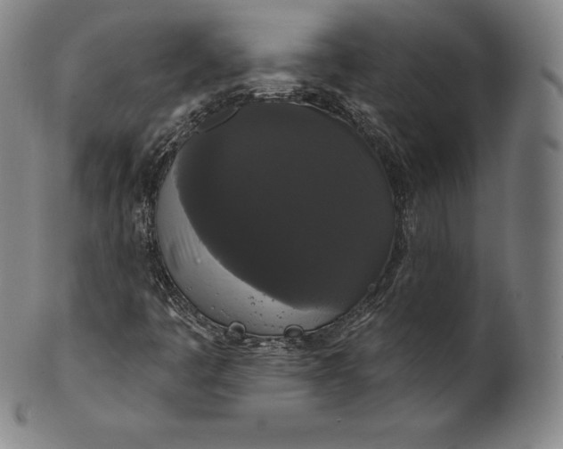 X0000102241445200808081425