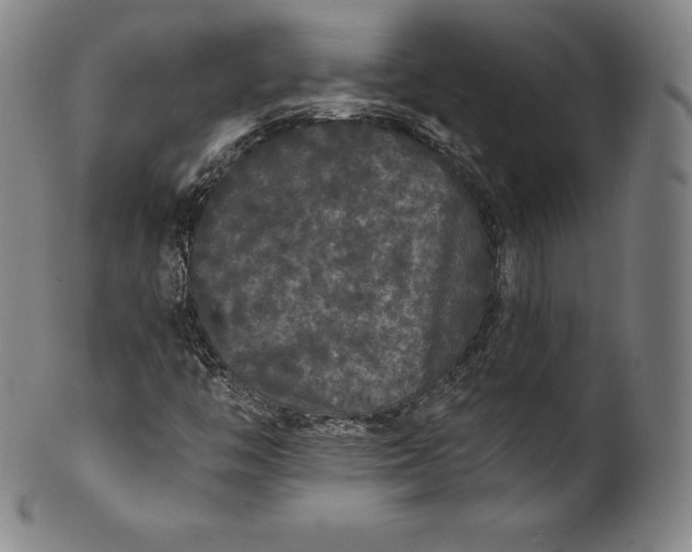 X0000102241446200808081425