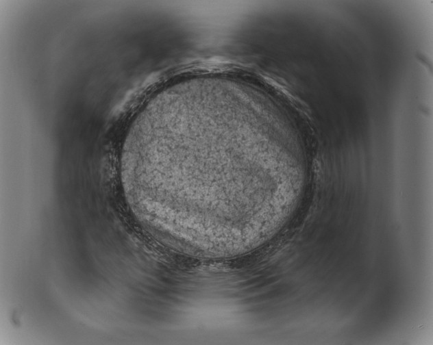 X0000102241447200808081425