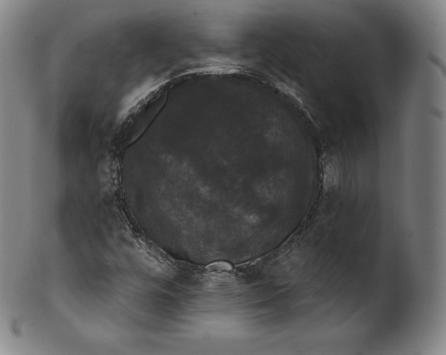 X0000102241448200808081425