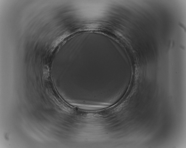 X0000102241449200808081425