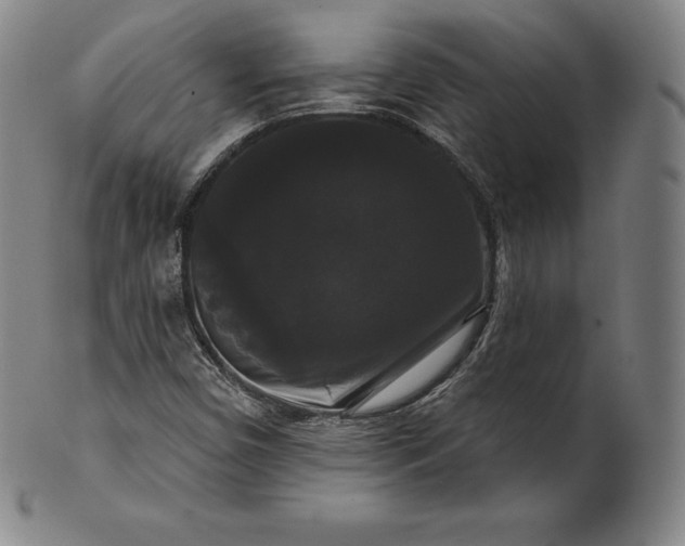 X0000102241450200808081425