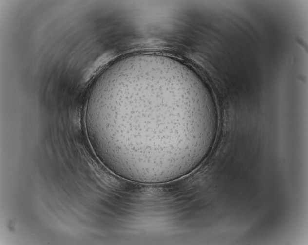 X0000102241451200808081425