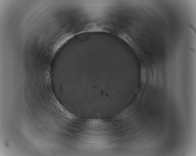 X0000102241452200808081425