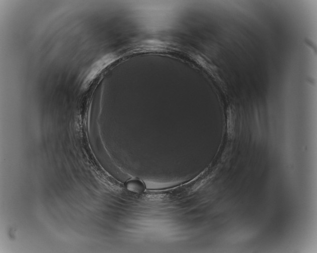 X0000102241453200808081425