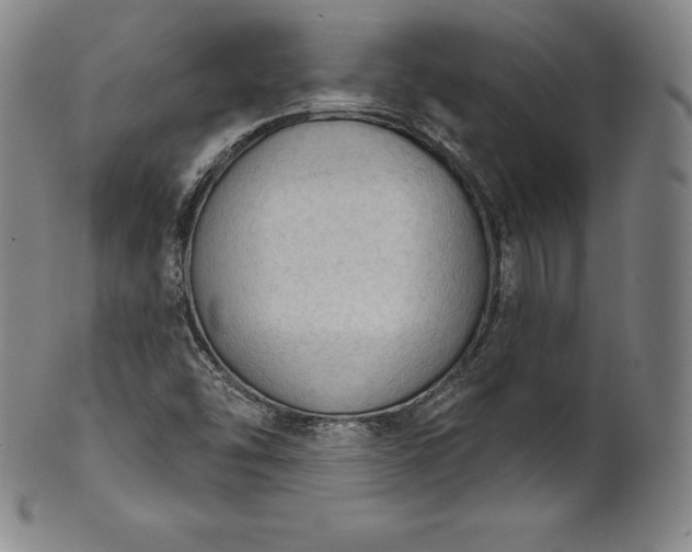 X0000102241454200808081425