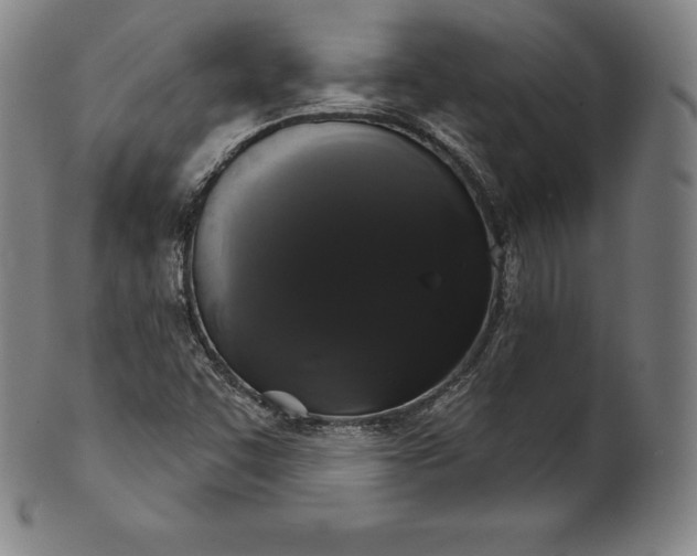 X0000102241455200808081425