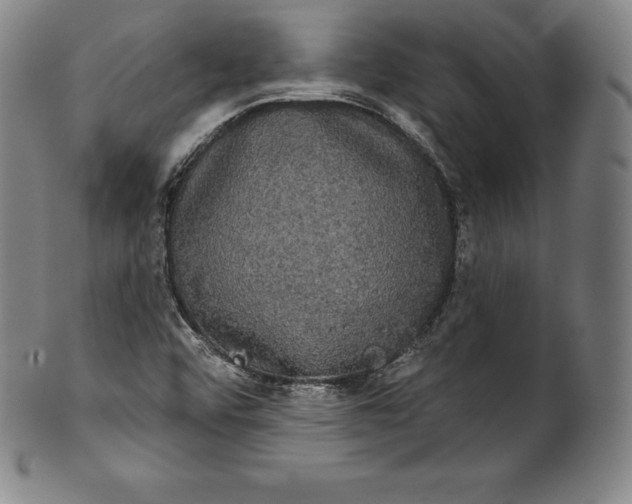 X0000102241456200808081425