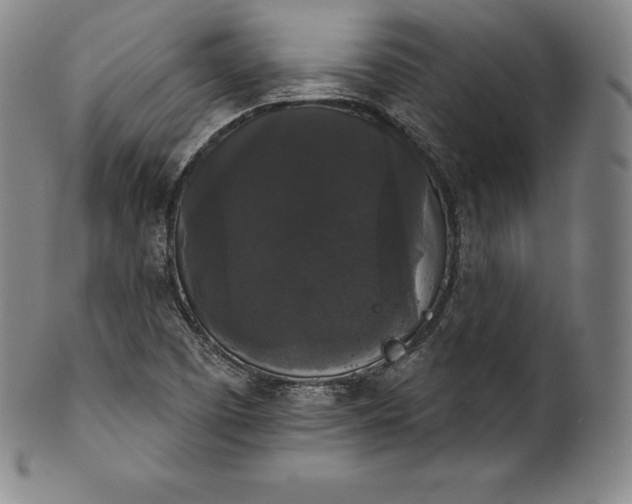 X0000102241457200808081425