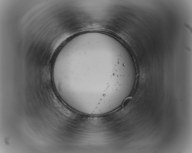 X0000102241458200808081425