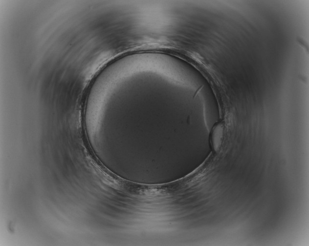 X0000102241459200808081425