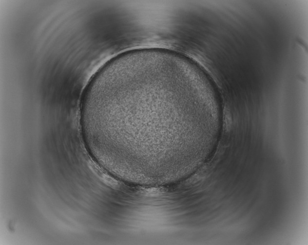 X0000102241460200808081425