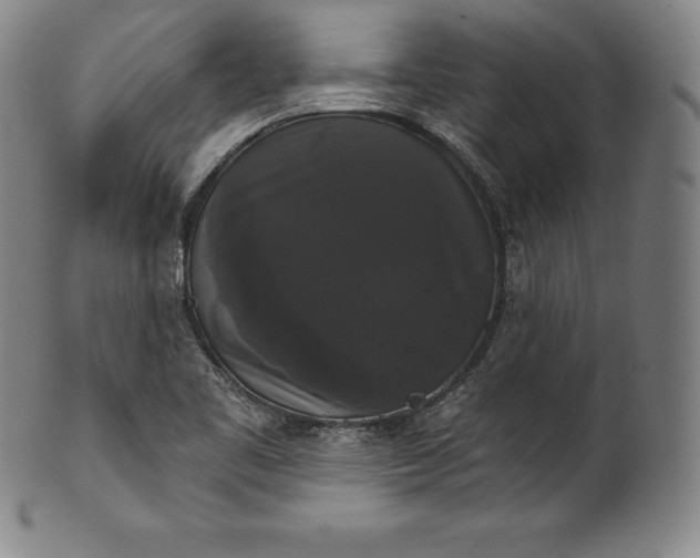 X0000102241461200808081425