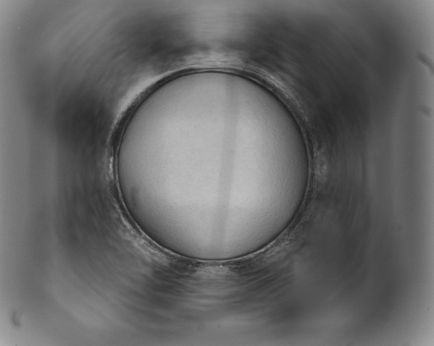 X0000102241462200808081425