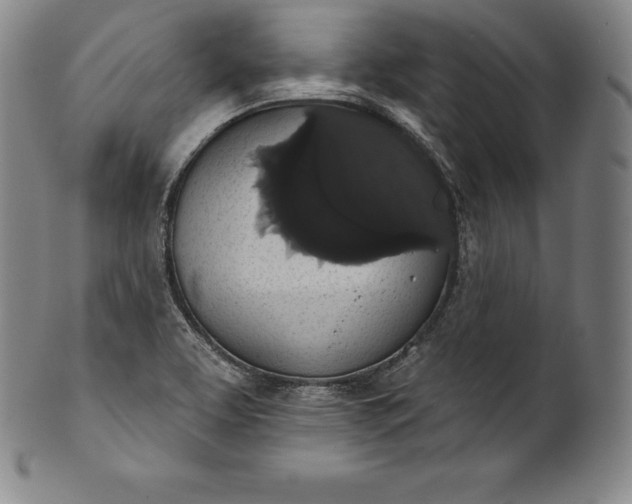 X0000102241463200808081425