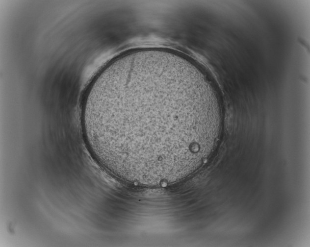 X0000102241464200808081425