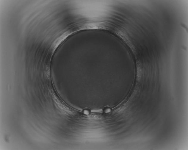 X0000102241465200808081425