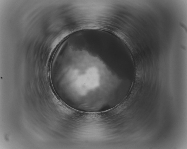 X0000102241466200808081425