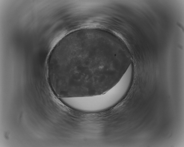 X0000102241467200808081425