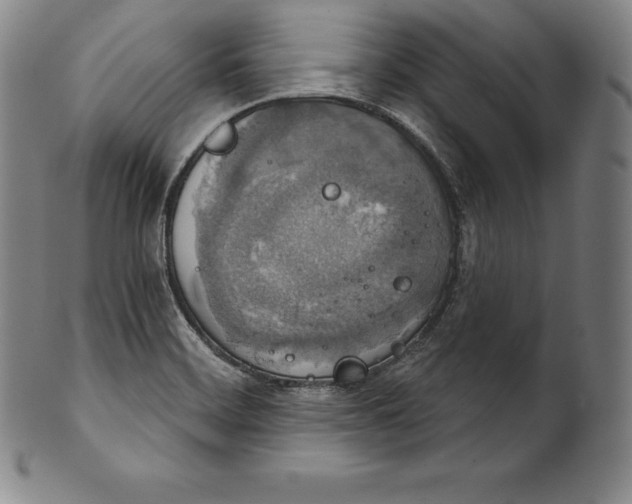 X0000102241468200808081425