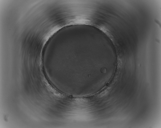 X0000102241469200808081425