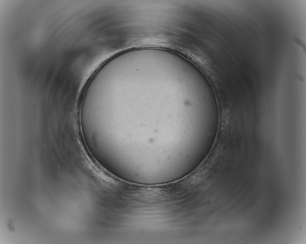 X0000102241470200808081425