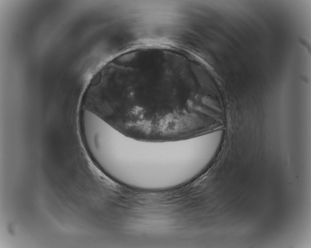 X0000102241471200808081424