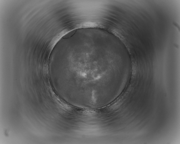 X0000102241473200808081424