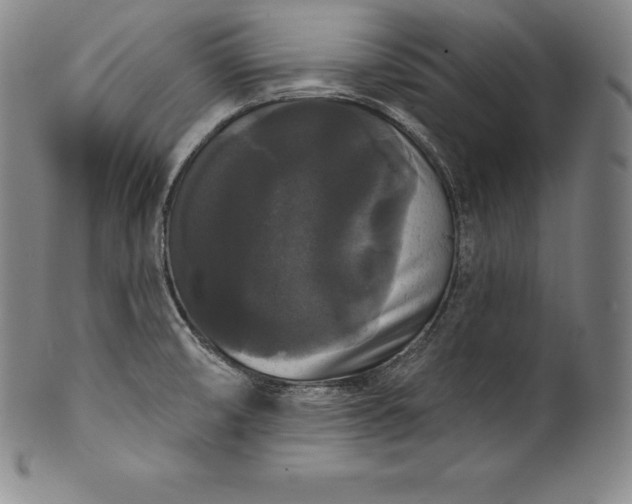 X0000102241474200808081424