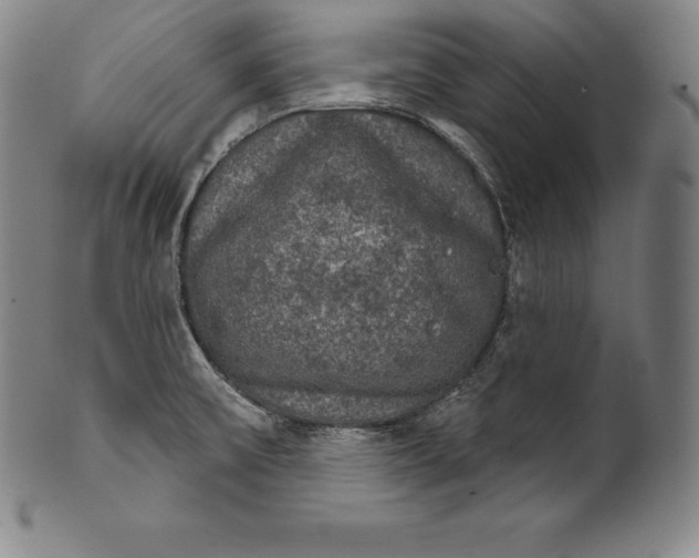 X0000102241475200808081424