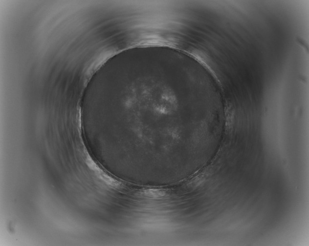 X0000102241476200808081424