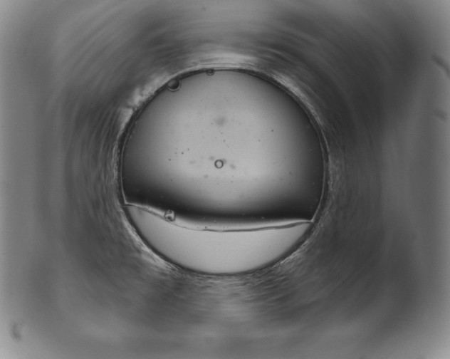 X0000102241477200808081424