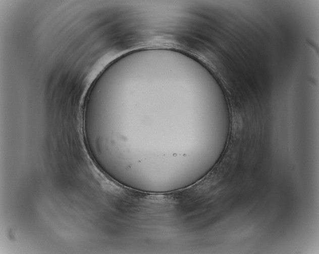 X0000102241478200808081424