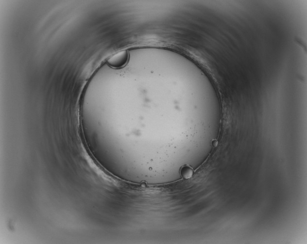 X0000102241479200808081424