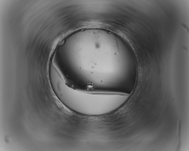 X0000102241480200808081424