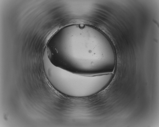 X0000102241481200808081424