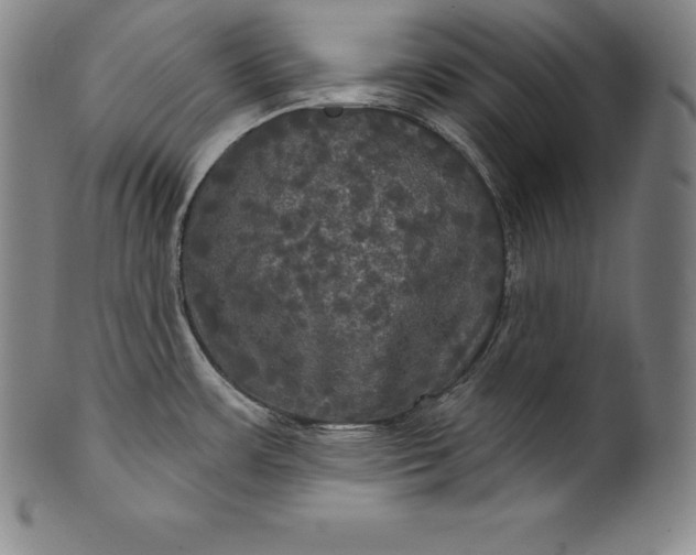 X0000102241483200808081424