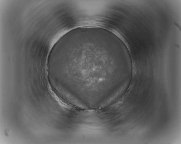 X0000102241485200808081424