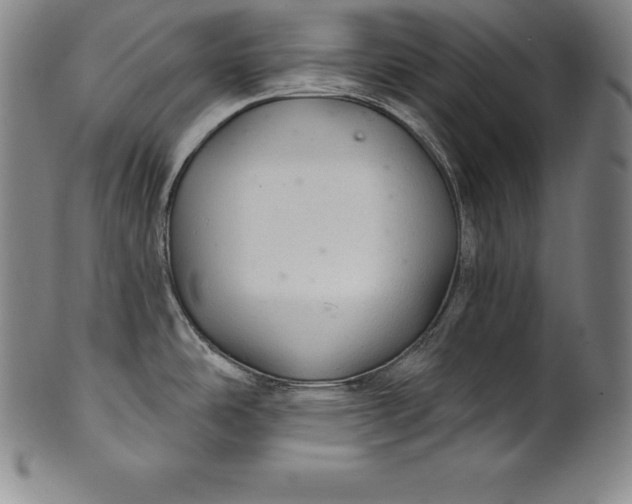 X0000102241486200808081424