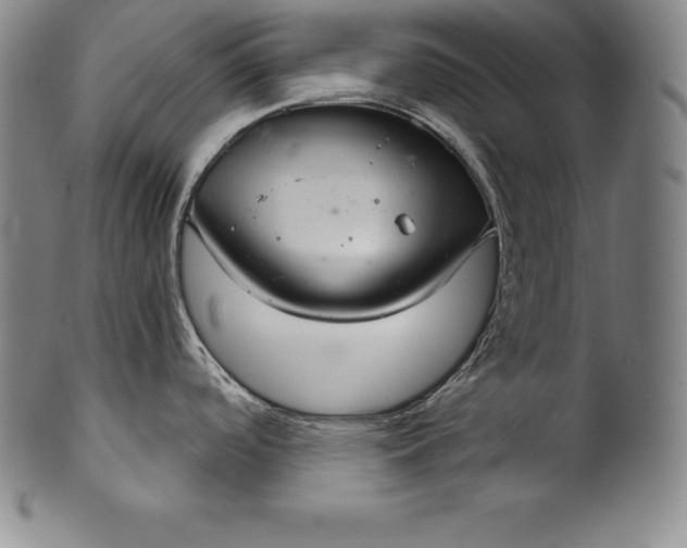 X0000102241488200808081424