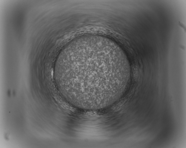 X0000102241489200808081423