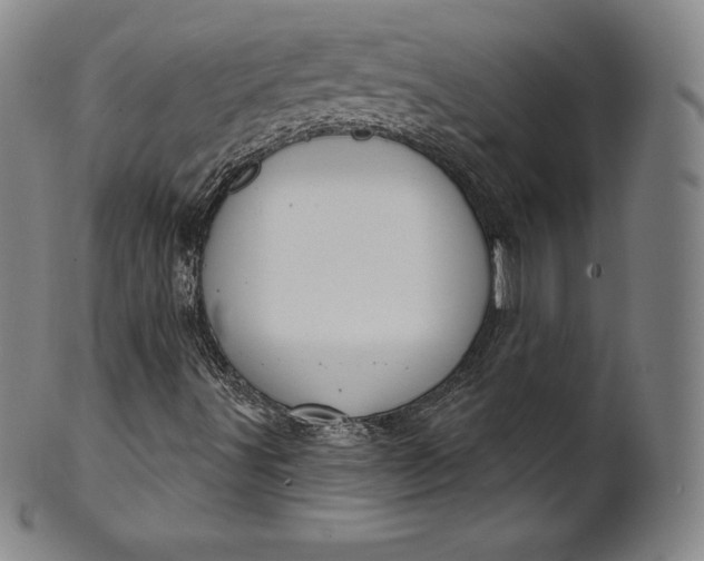 X0000102241491200808081423